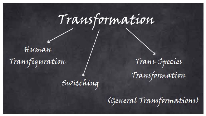 Chalkboard drawing. Transformation at the top with arrows to Trans-species Transformation, Switching, and Human Transfiguration. General Transformation in the bottom right.
